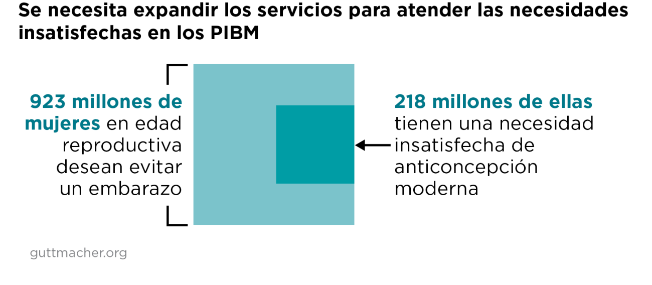 Necesidad insatisfecha de servicios en los PIBM